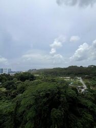Normanton Park (D5), Apartment #458470721